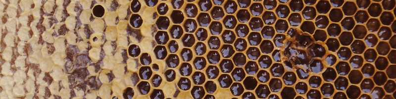 カロリーオフ健康食品【はちみつ屋 松治郎の舗】お試し情報サイト